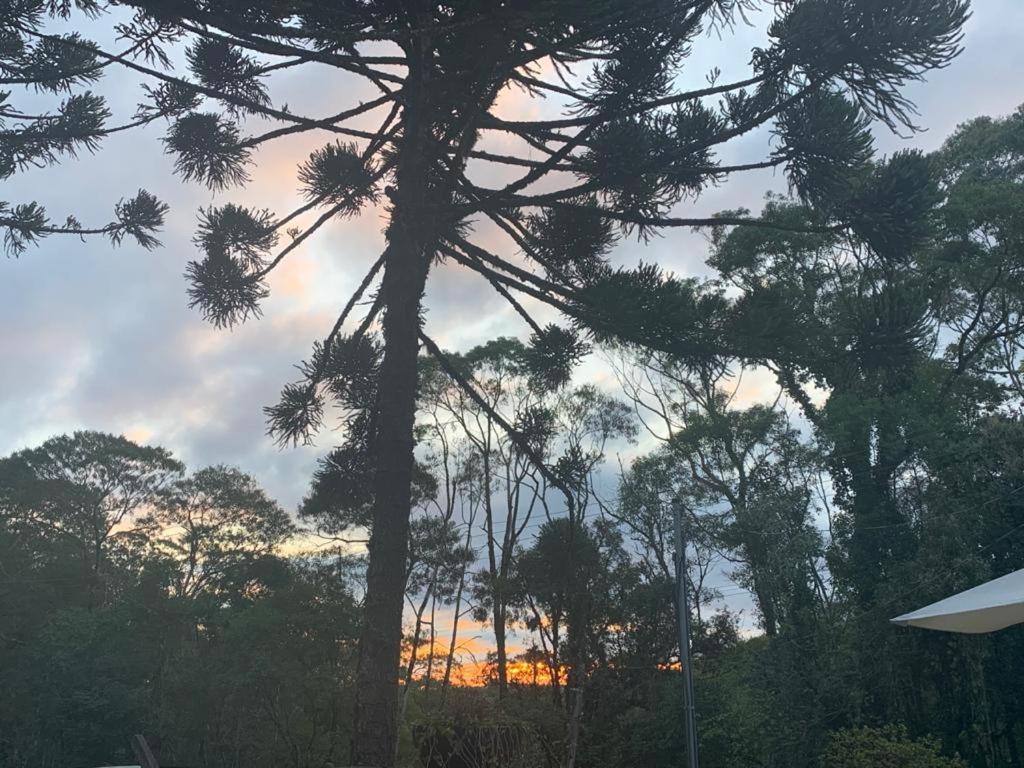 Casa De Campo Em Gramado Extérieur photo
